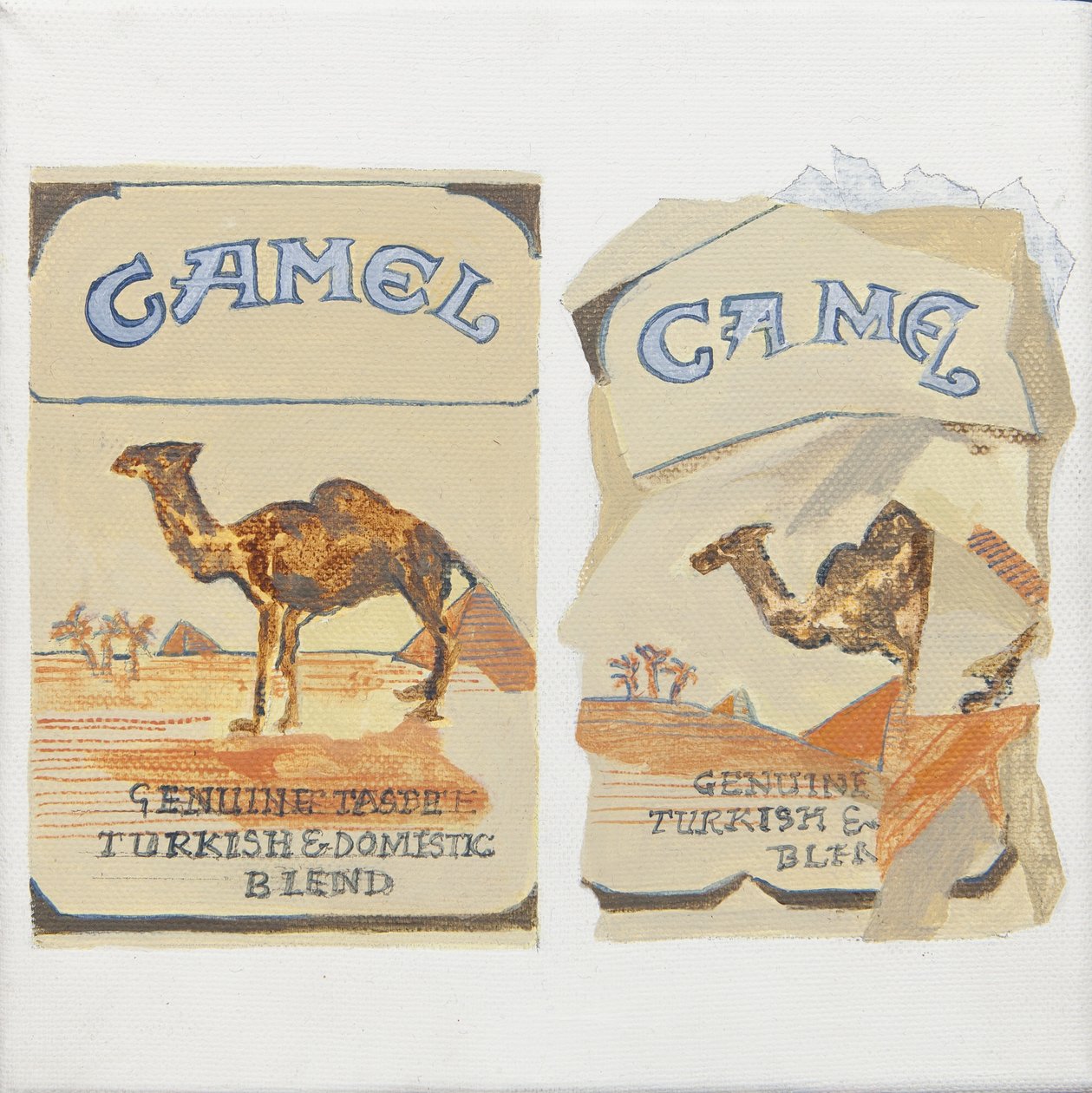 Camel Cigarette packs da Jennifer Abbott