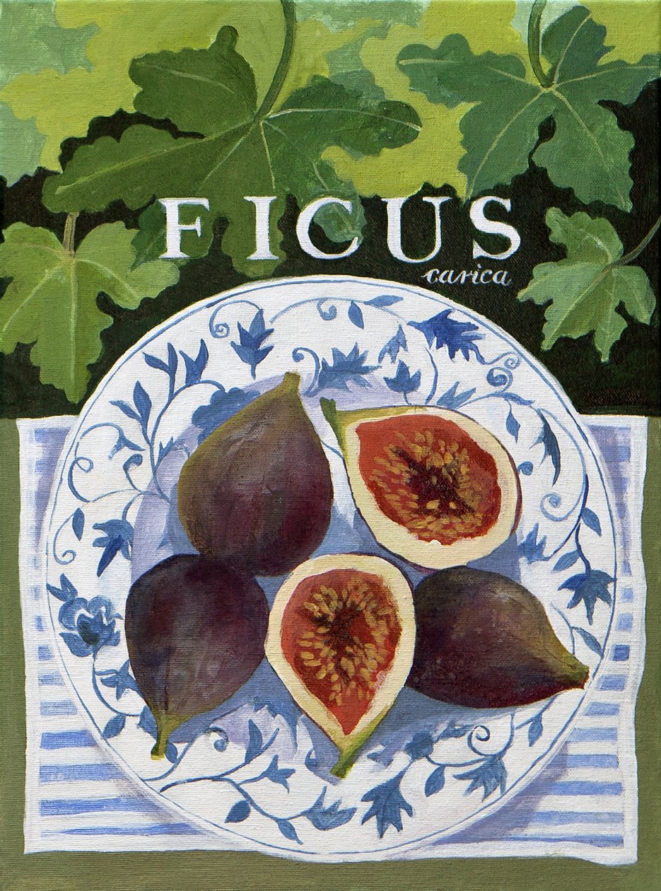 Fieus (fichi), 2014 (acrilico su tela) da Jennifer Abbott