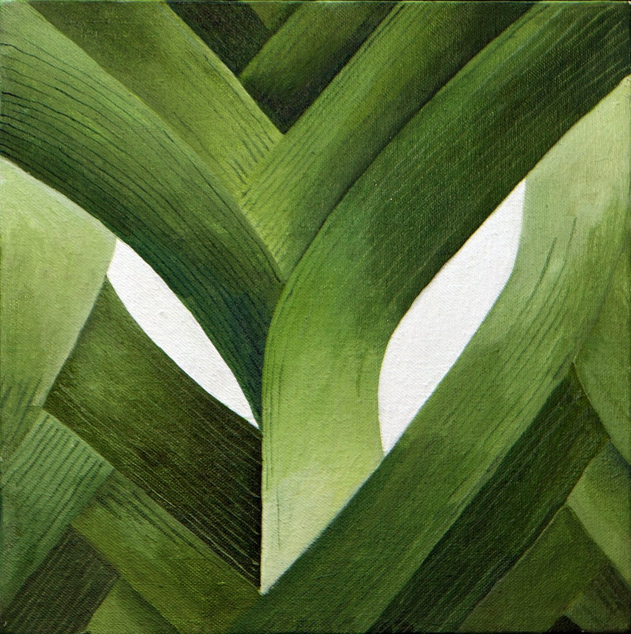 Porri, 2013 (acrilico su tela) da Jennifer Abbott