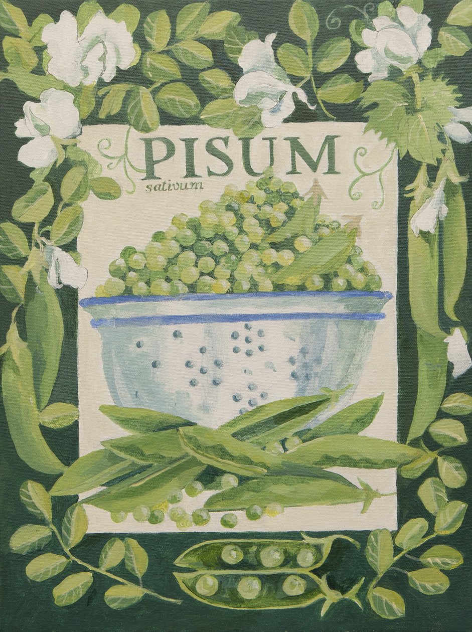 Pisum, Piselli (acrilico) da Jennifer Abbott