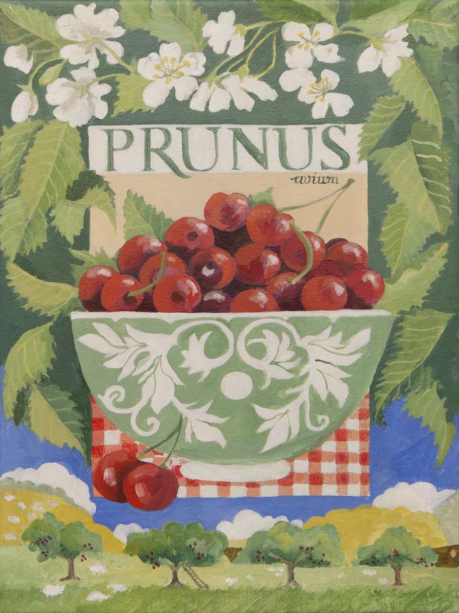 Prunus avium (acrilico) da Jennifer Abbott