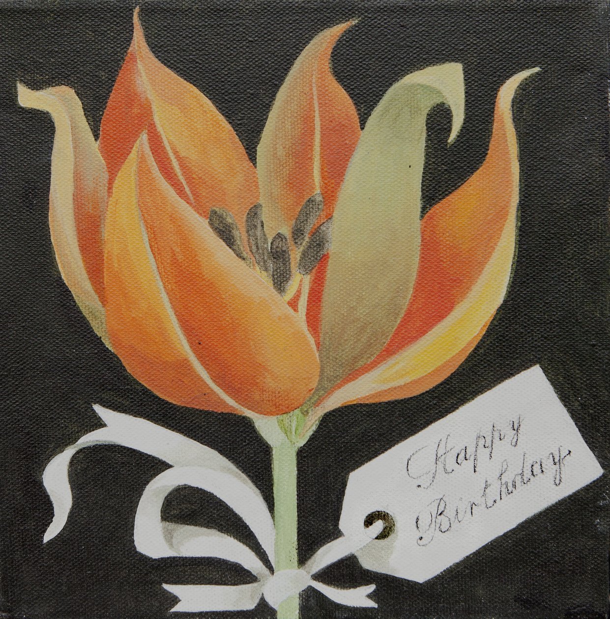 Tulipano, Buon compleanno (acrilico) da Jennifer Abbott