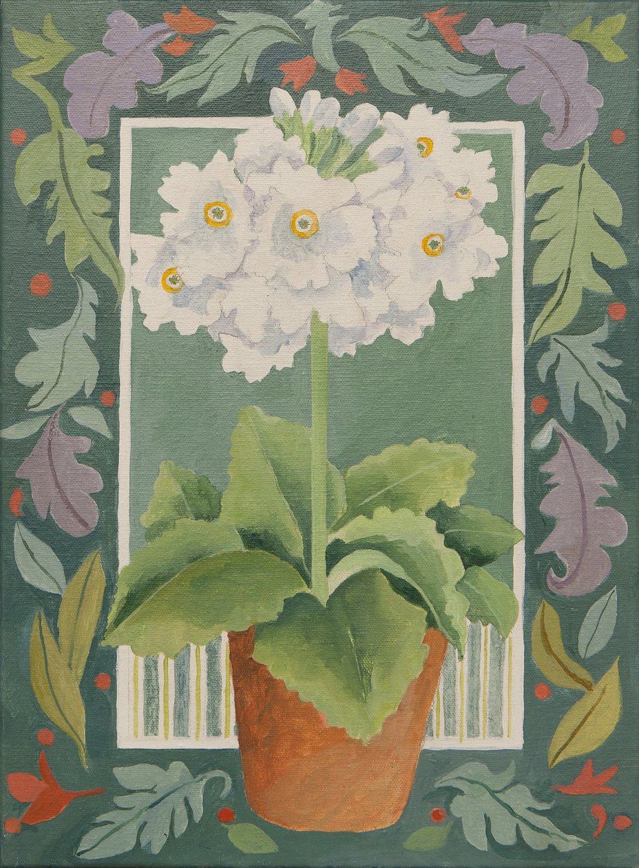 Primula bianca (acrilico) da Jennifer Abbott