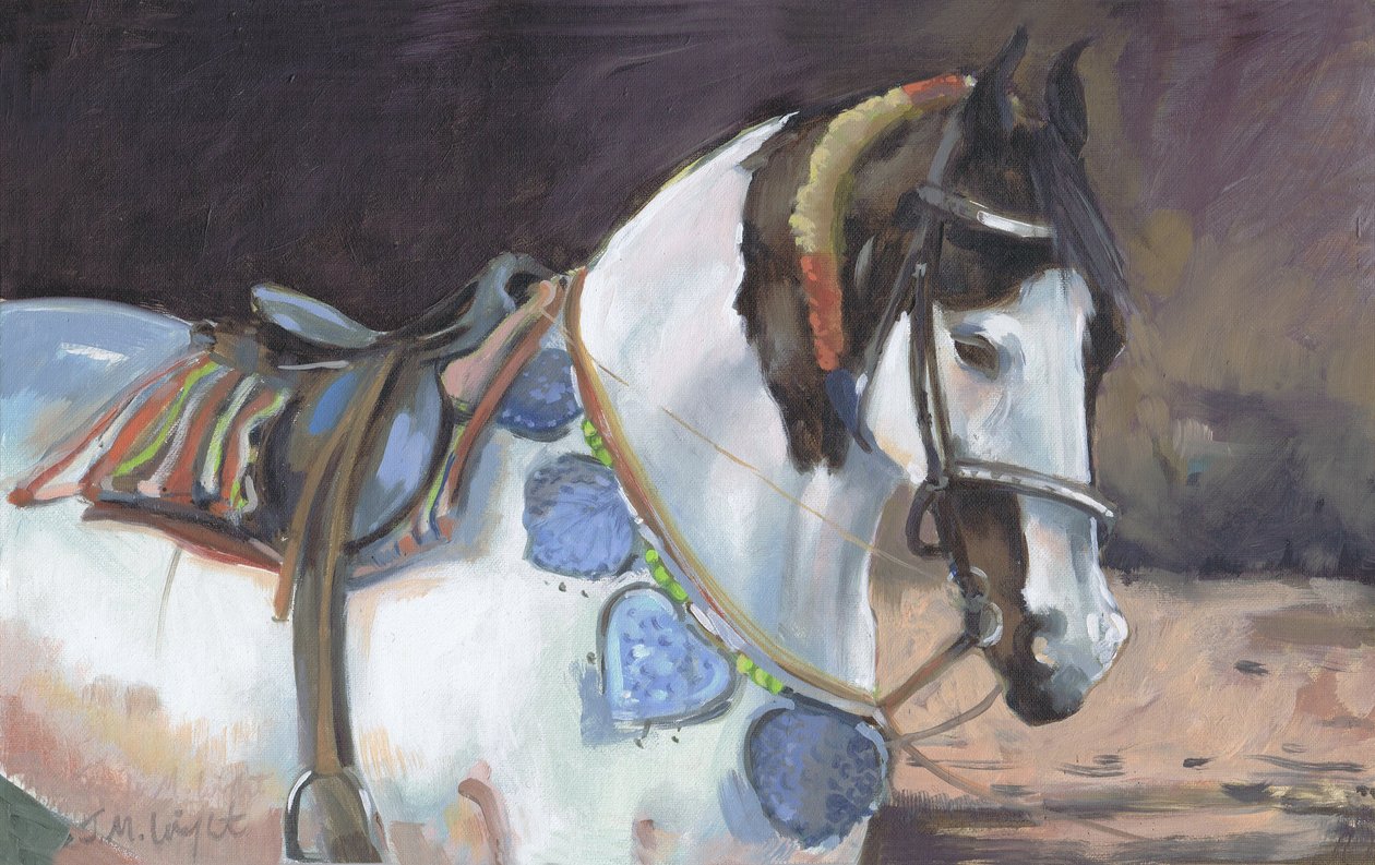 Cavallo Marwari II da Jennifer Wright