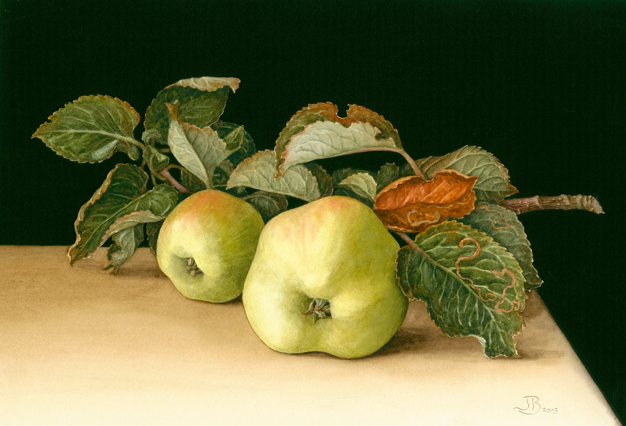 Mele Bramley da Jenny Barron
