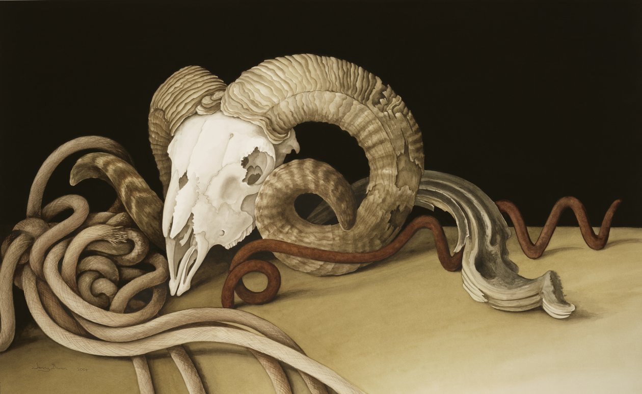 Vanitas da Jenny Barron