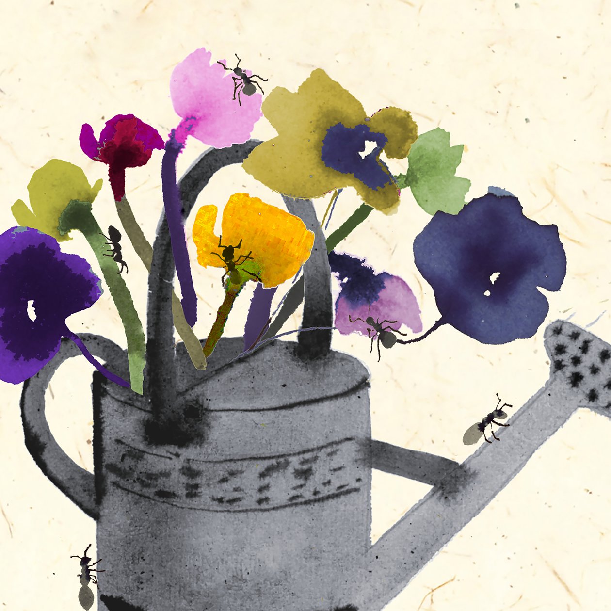 Formiche nelle tue piante da Jenny Frean