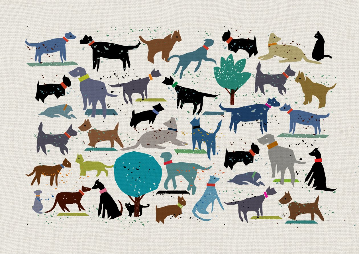 Amore per i cani, 2024 da Jenny Frean