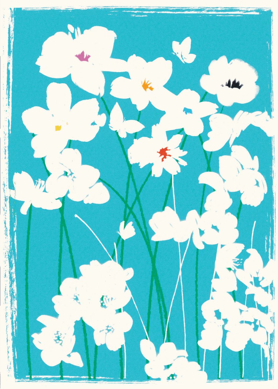 Fiori Turchesi da Jenny Frean