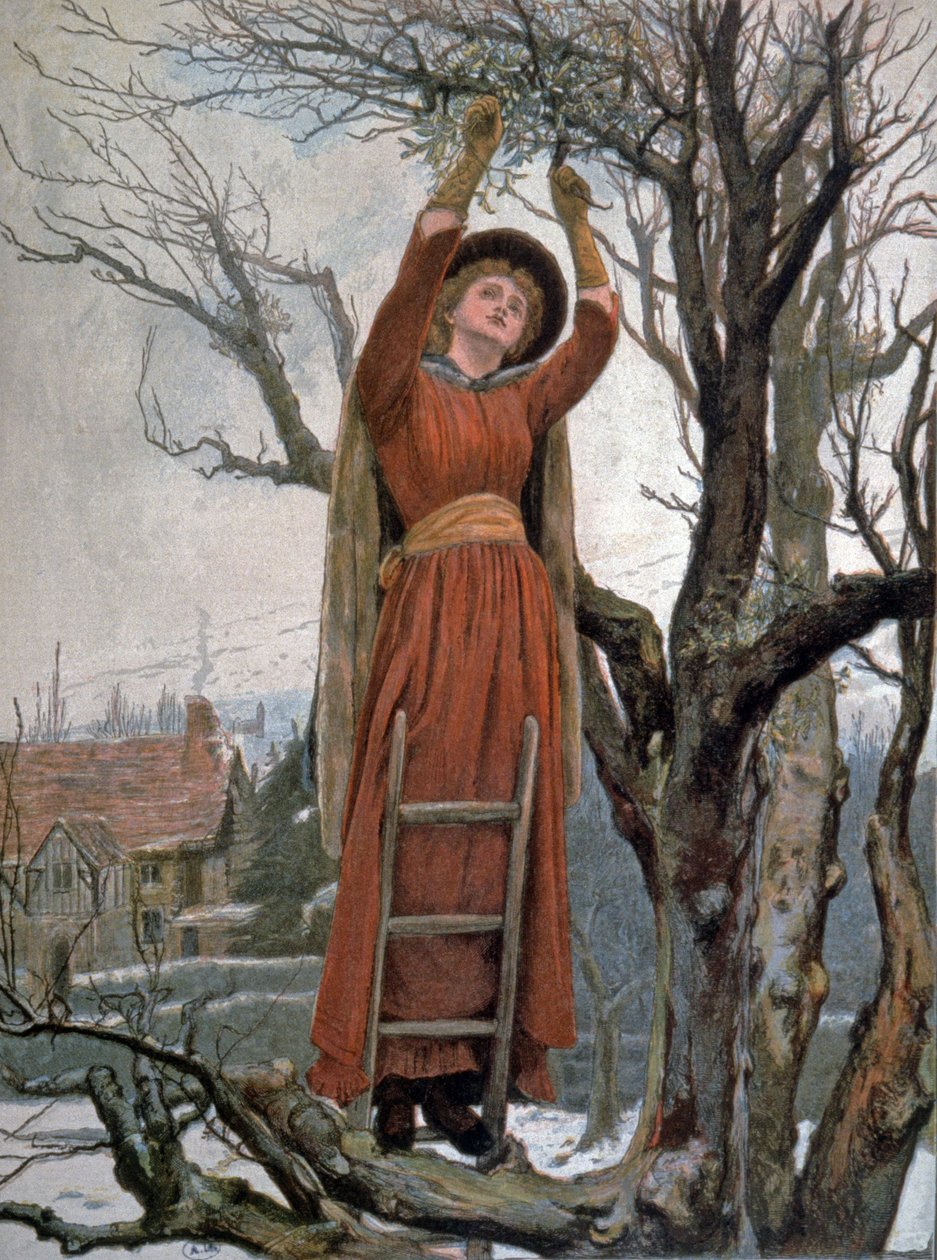 Il giorno dei regali di Natale da Jessie MacGregor