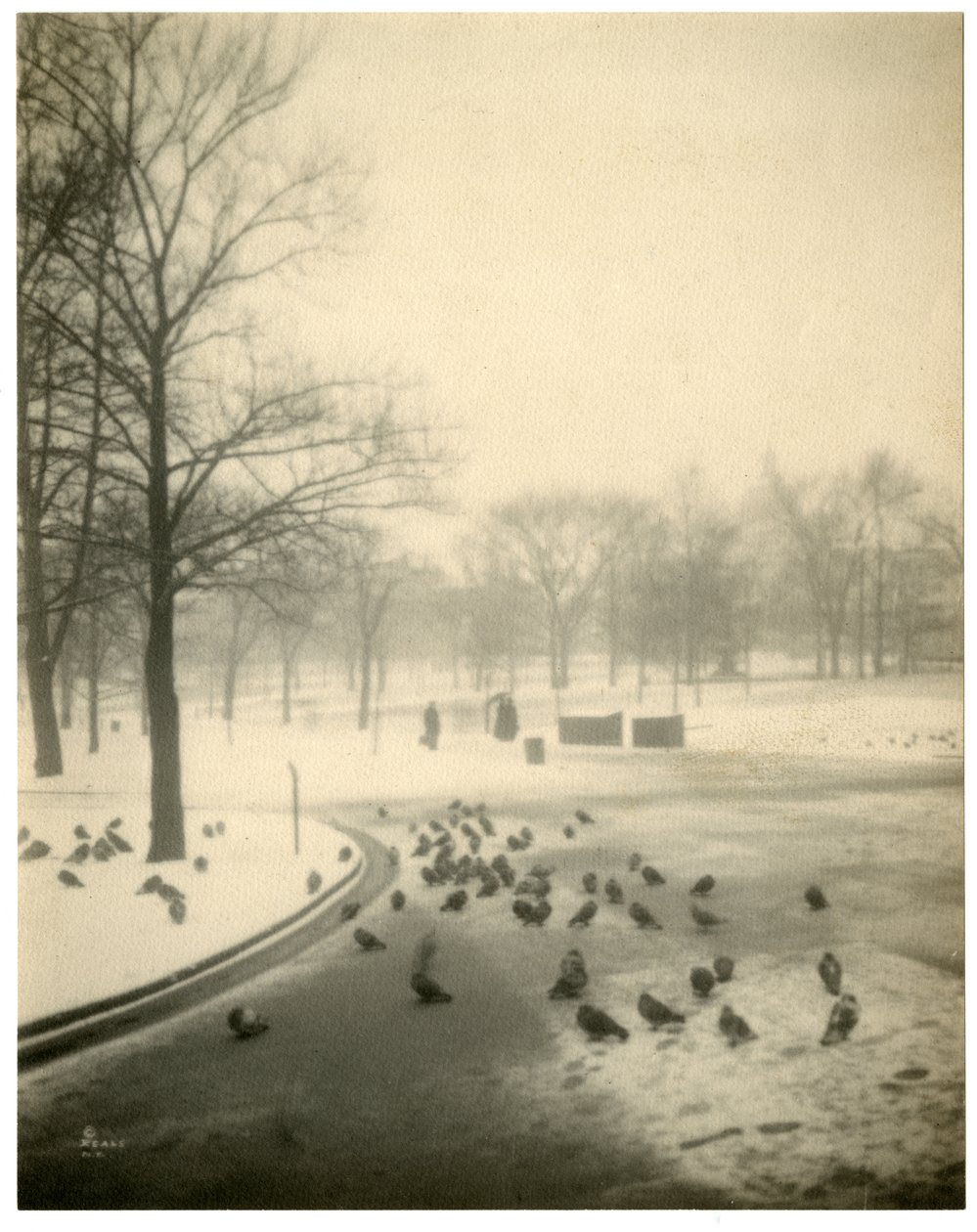 Boston Common, Boston, USA, c.1902-10 da Jessie Tarbox Beals