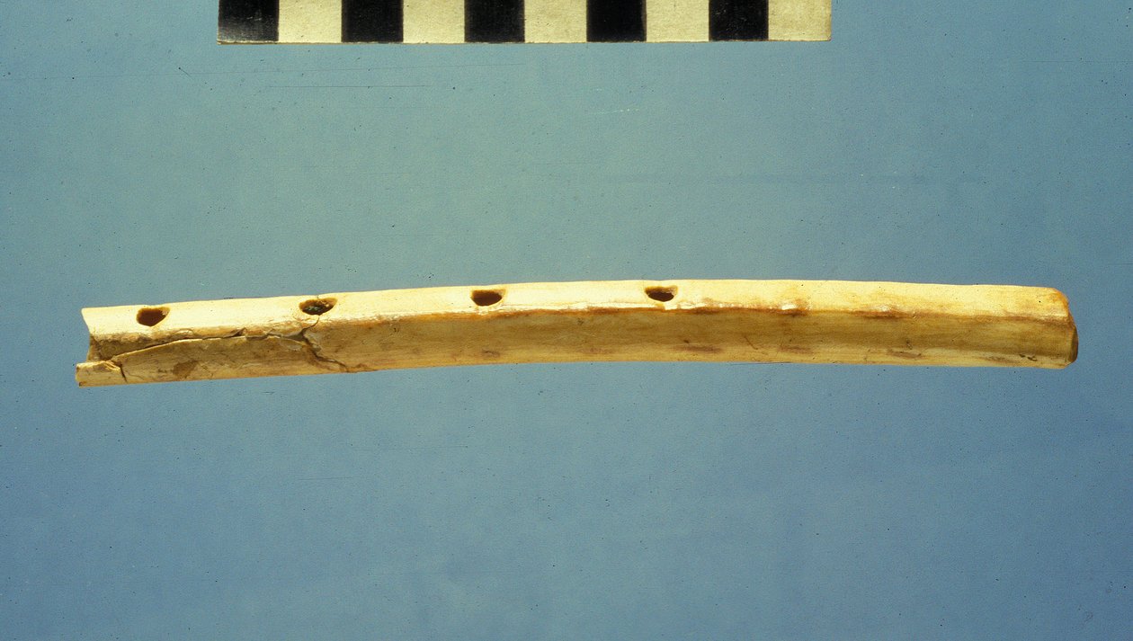 Flauto, Città di David, c.799-600 a.C. da Jewish School