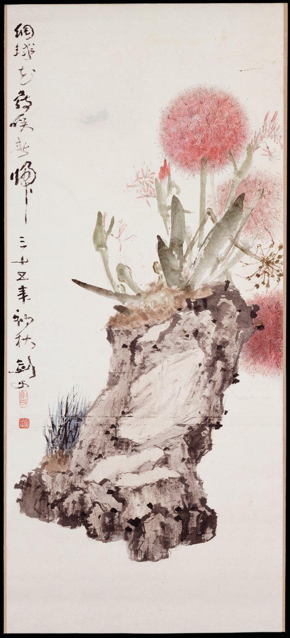 Ortensia e Roccia da Jianfu Gao