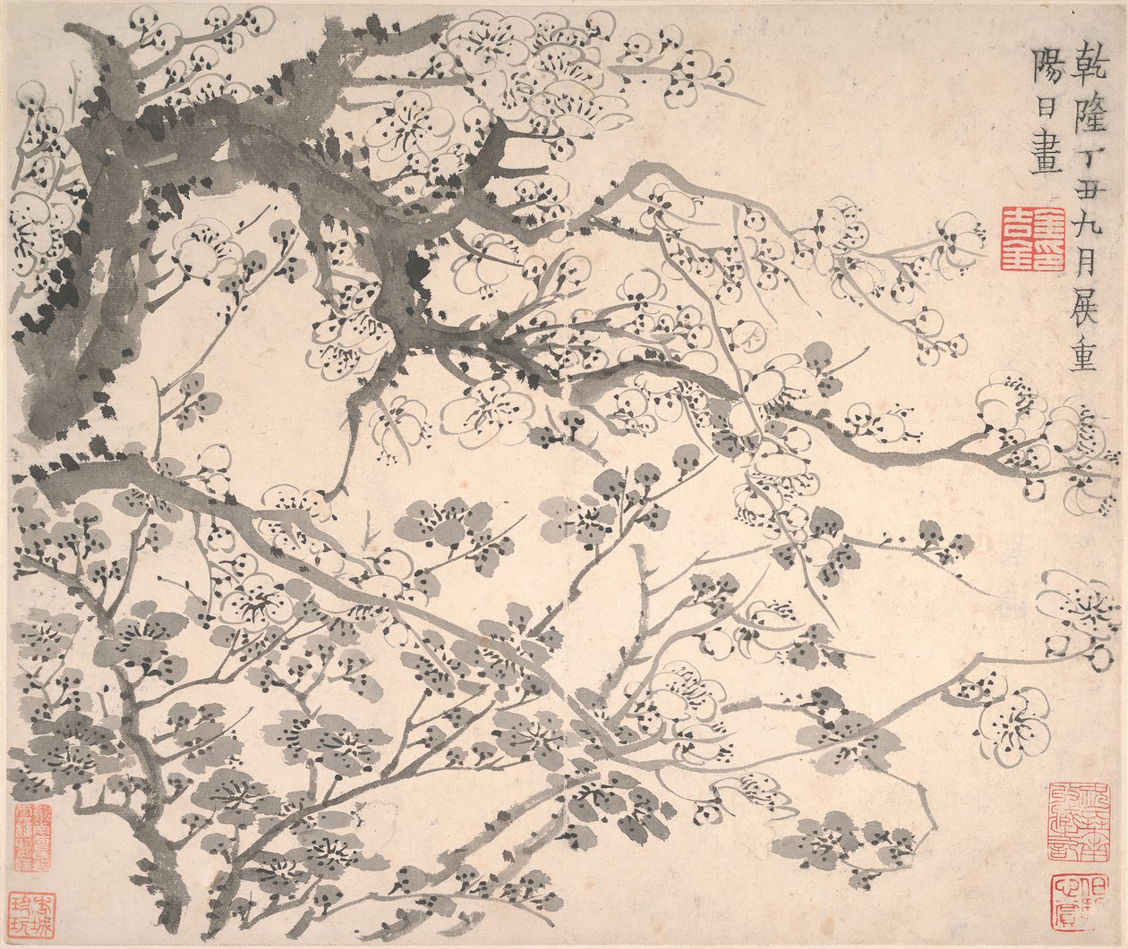 Fiori di pruno, datato 1757 da Jin Nong