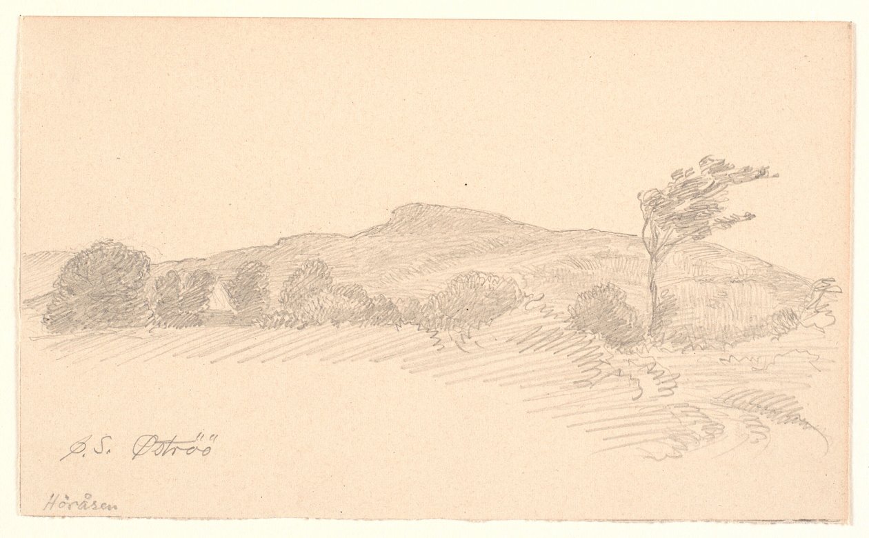 Paesaggio con vista verso la cresta di Høråsen. Öströö da Joakim Frederik Skovgaard