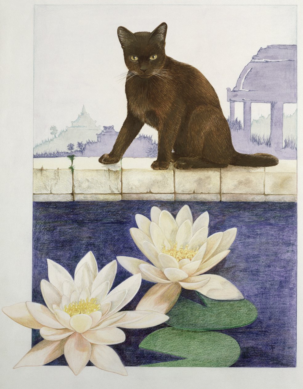 Burmese da Joan Freestone