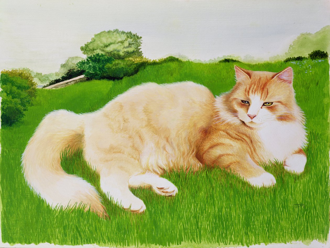 Gatto Rosso nel Campo da Joan Freestone