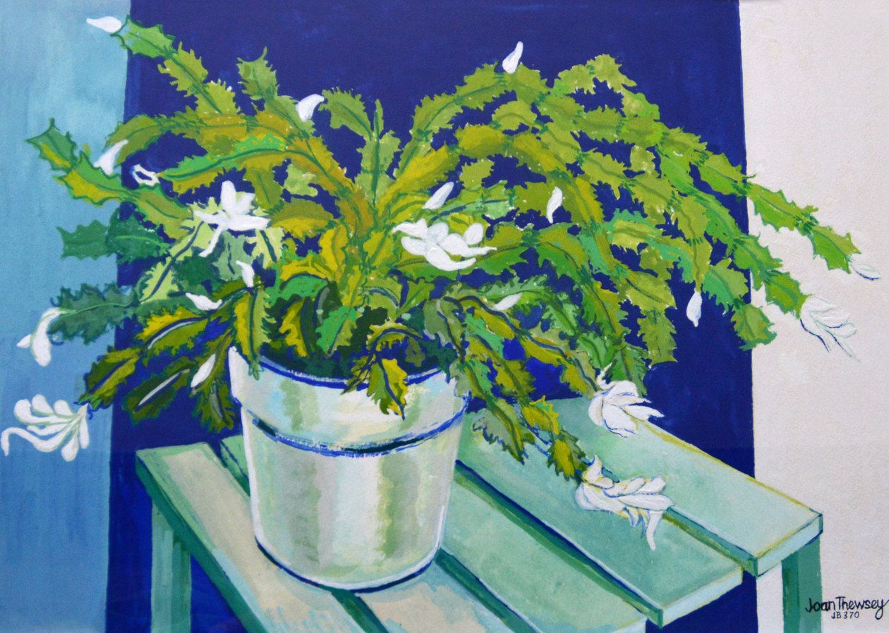 Cactus di Natale, 2000 da Joan Thewsey