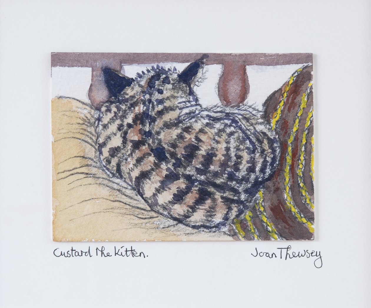 Custard il Gattino da Joan Thewsey