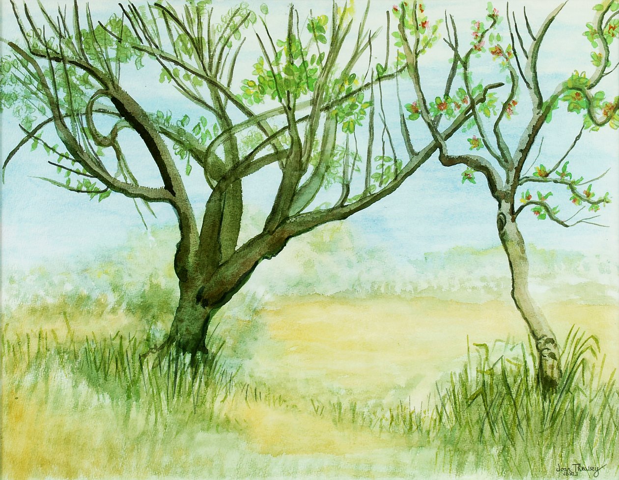 Paesaggio di inizio primavera, con due alberi, 2009 da Joan Thewsey