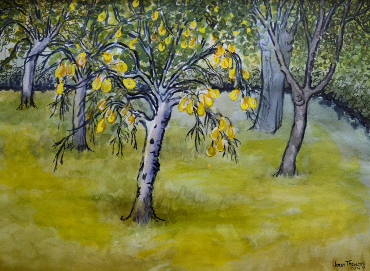 Il piccolo pero, 2005 da Joan Thewsey