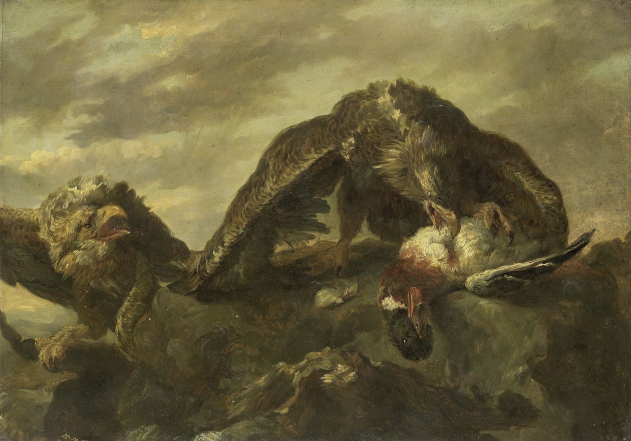 Aquile sulle scogliere da Joannes Fijt (copy after)