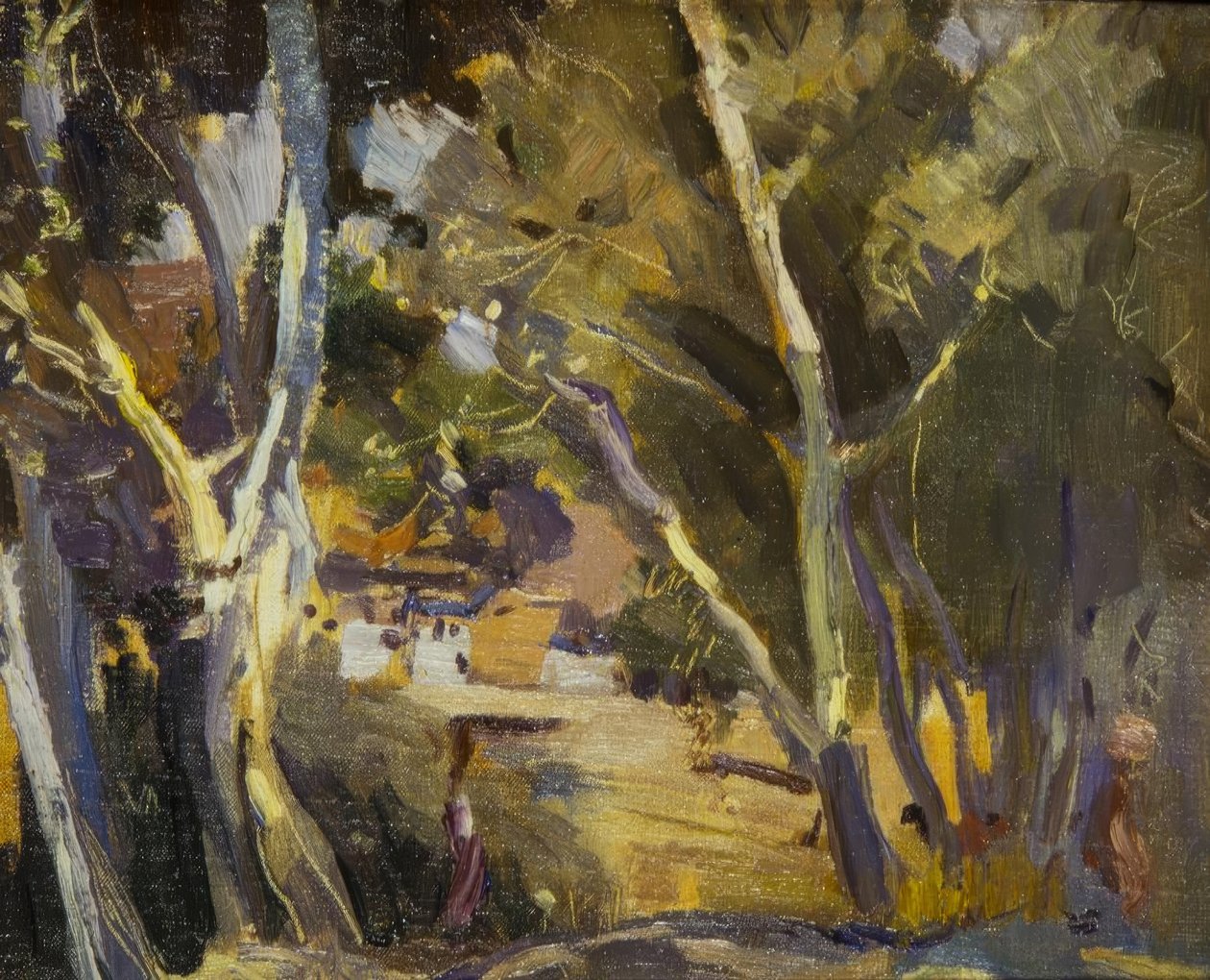 Miravet da Joaquim Mir i Trinxet
