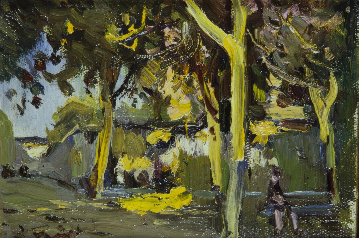 Piazza con alberi da Joaquim Mir i Trinxet