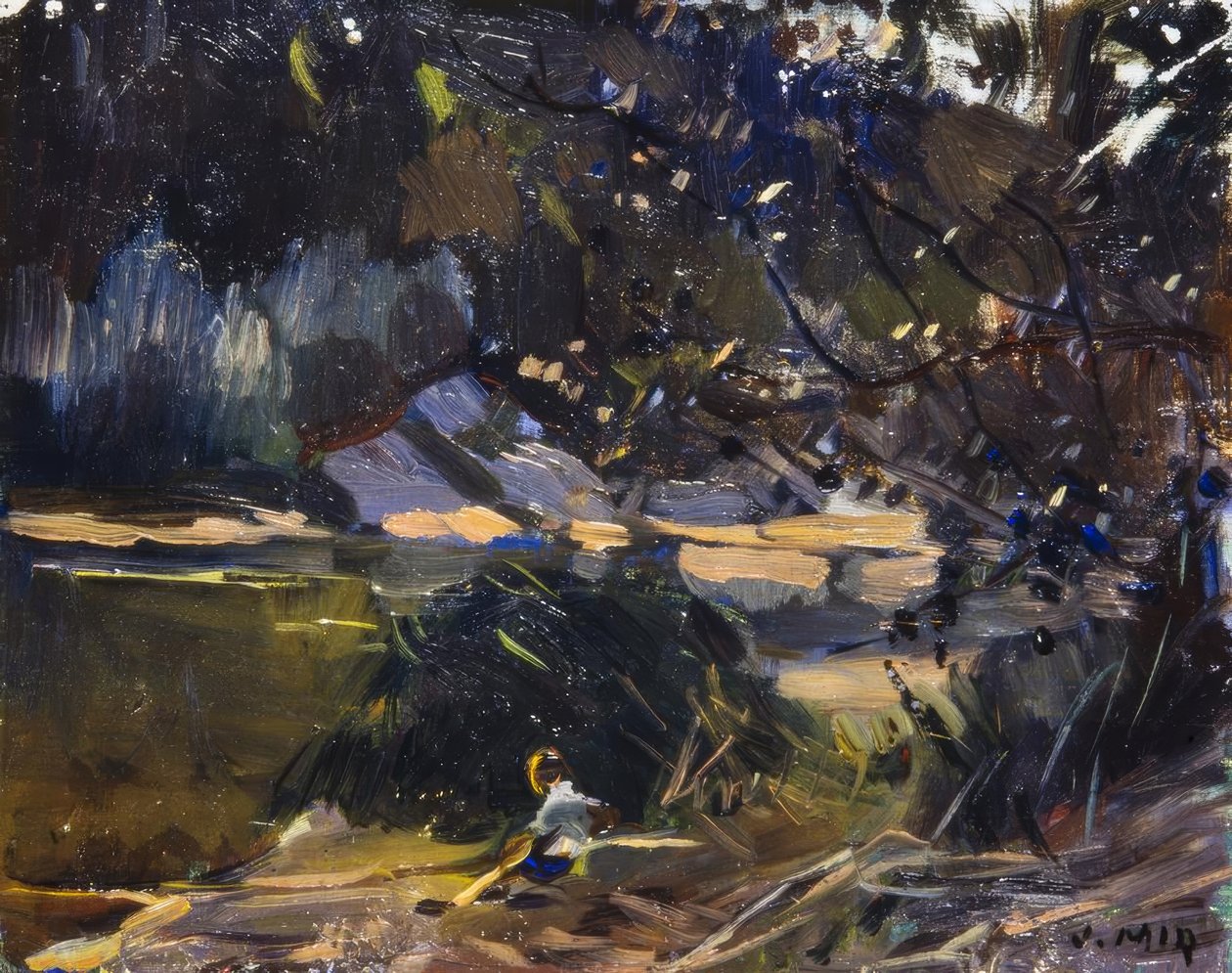 Sottobosco da Joaquim Mir i Trinxet