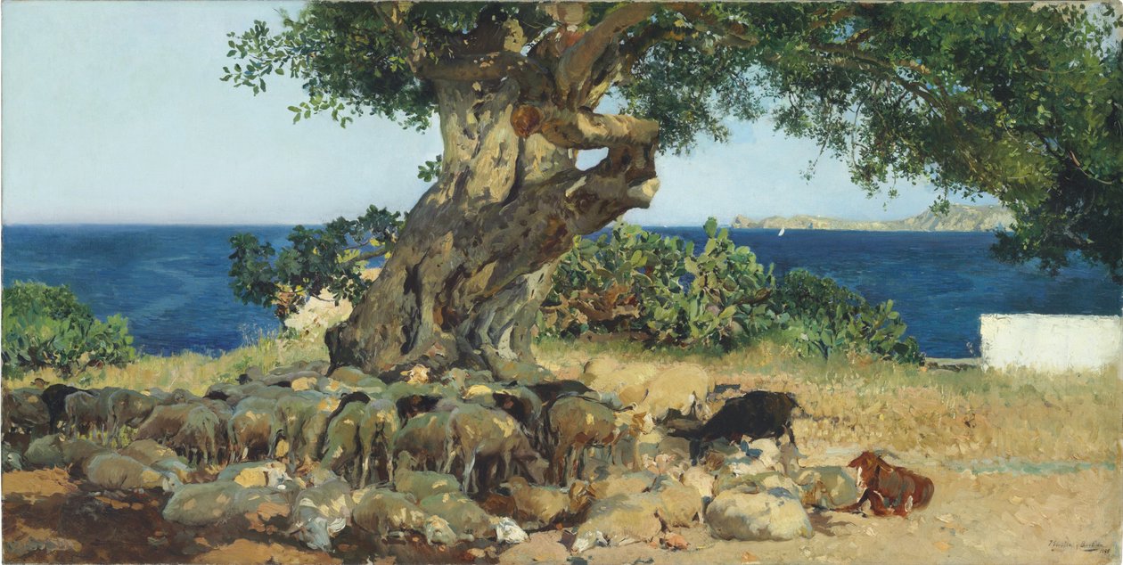 Carrubo da Joaquín Sorolla