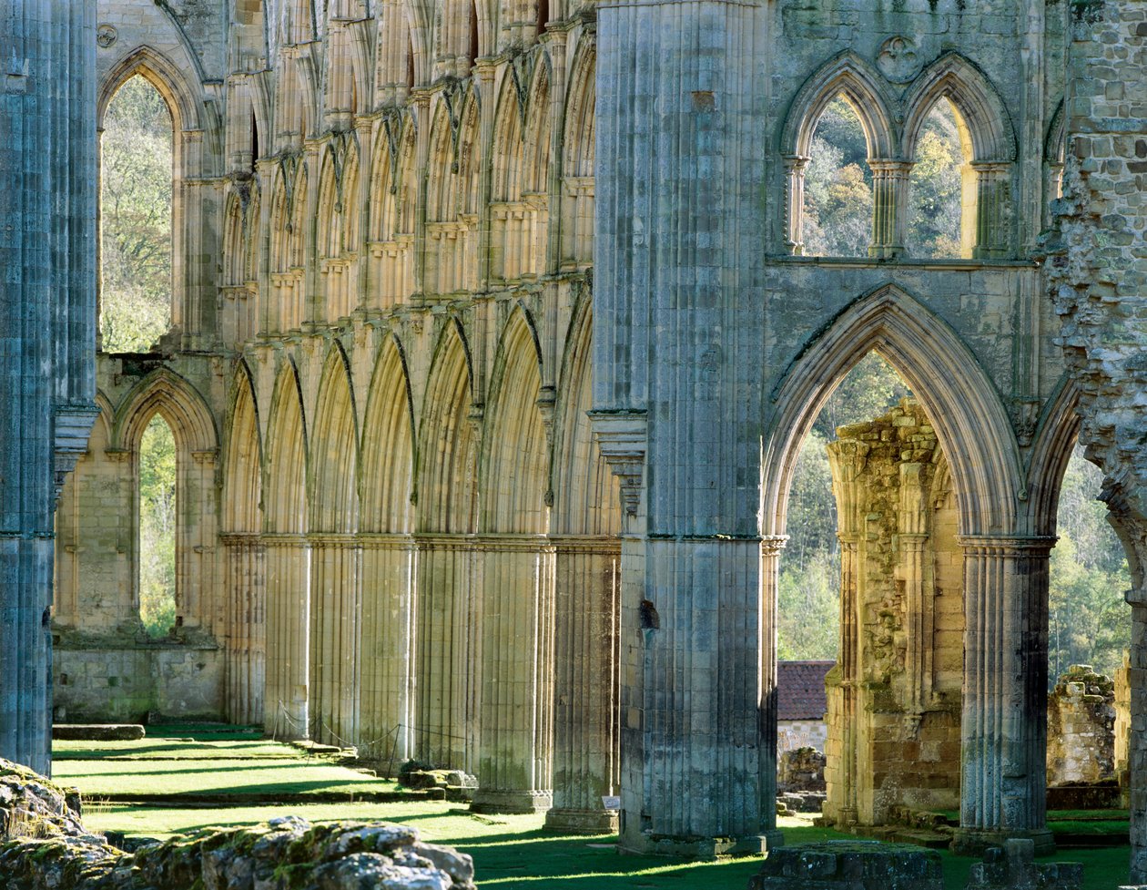 Abbazia di Rievaulx, c. 1990-2010 da Joe Cornish
