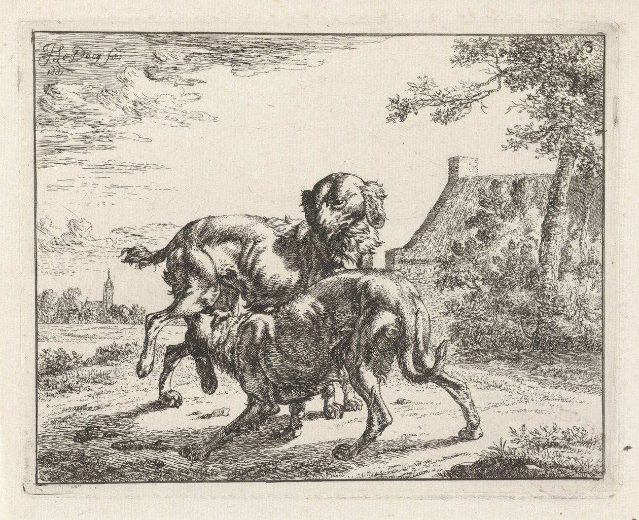 Cane e cagna da Johan le Ducq