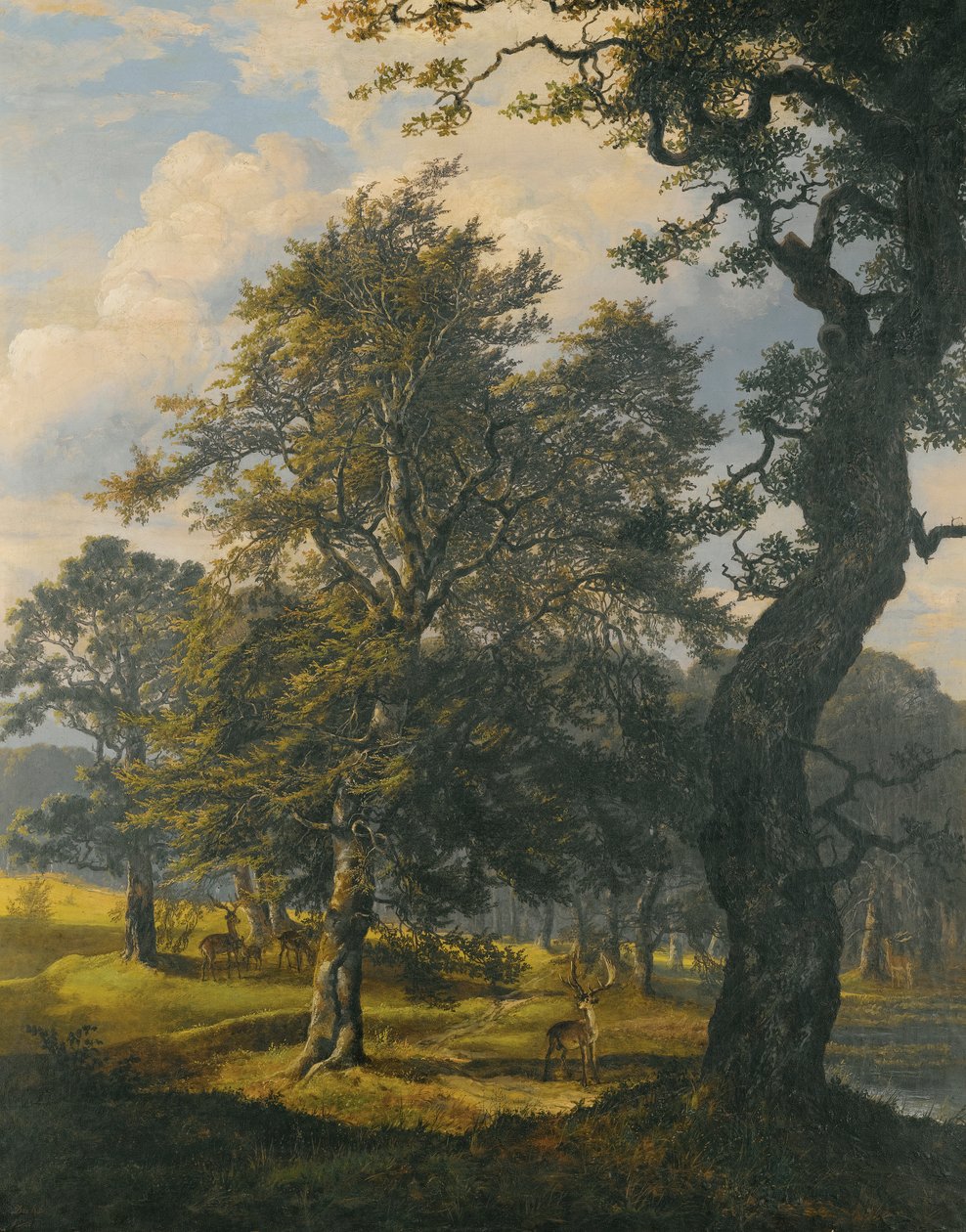 Dyrehaven, vicino a Copenaghen da Johan Christian Dahl