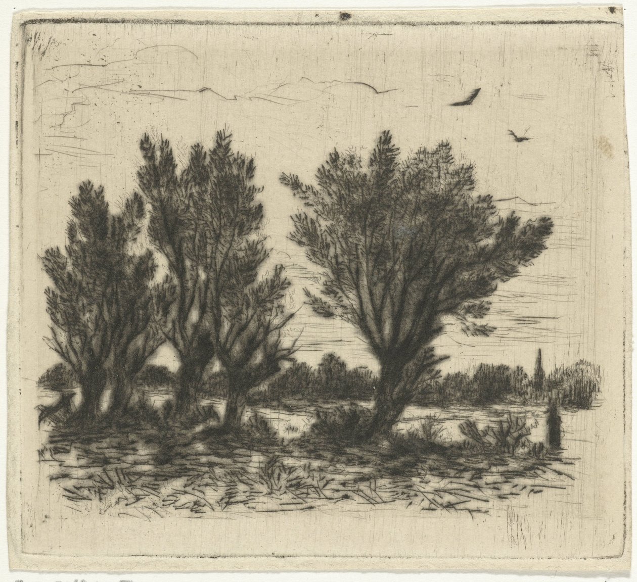 Fila di salici da Johan Frederik Croockewit