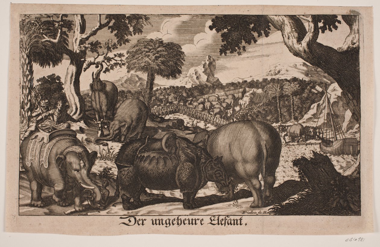 "Der ungeheure Elefant" da Johan Friedlein