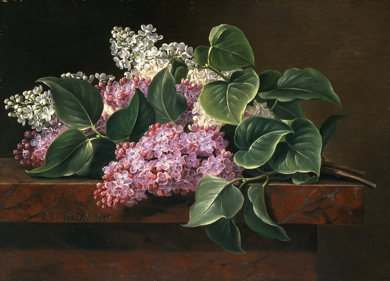Lillà su un davanzale da Johan Laurents Jensen