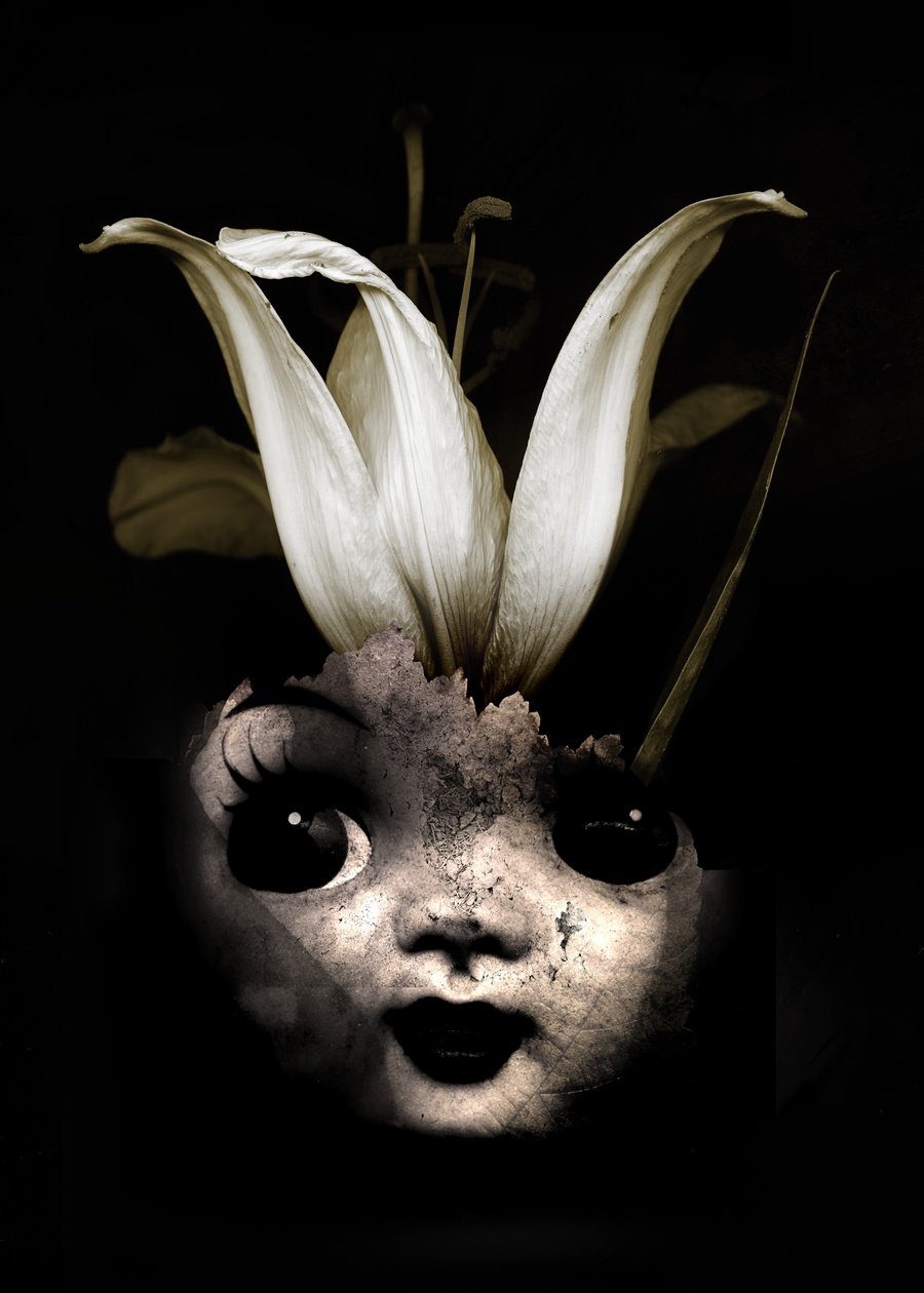 Fiore di bambola da Johan Lilja