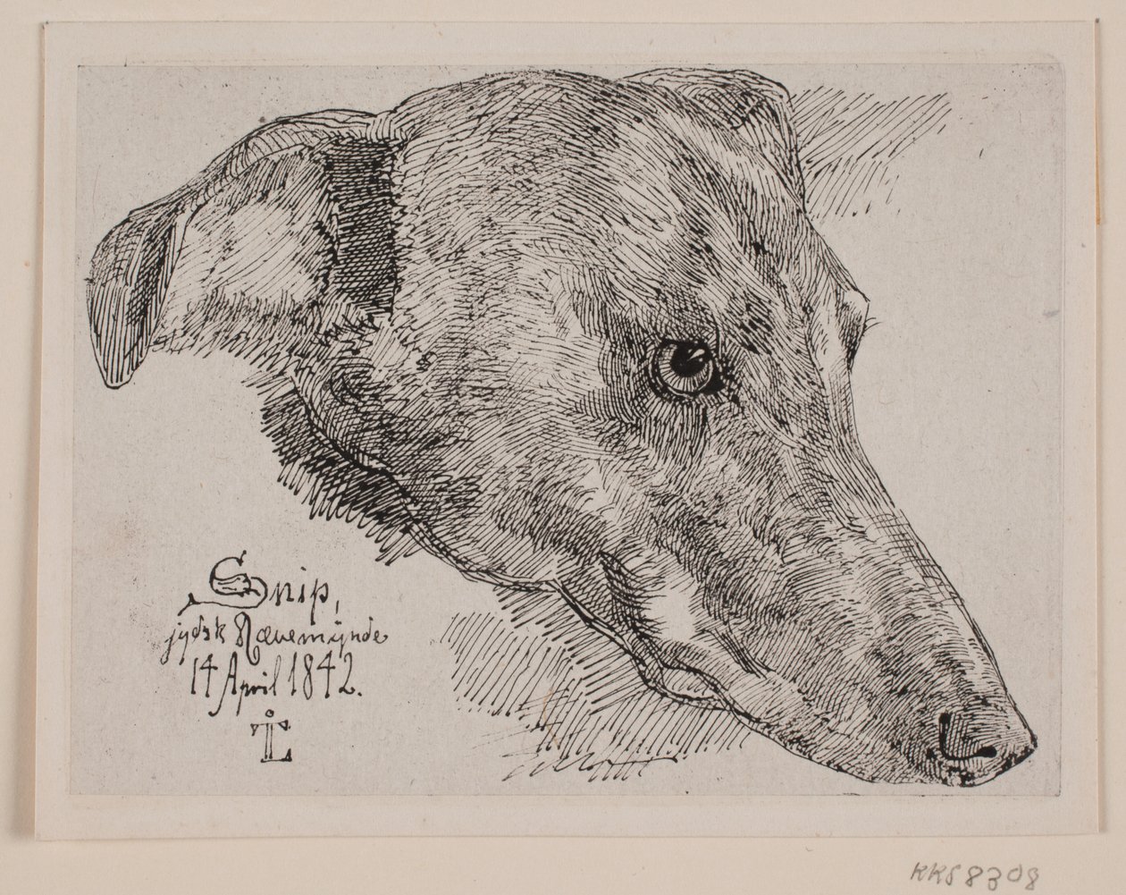 Danese: Hundehoved, Snip da Johan Lundbye