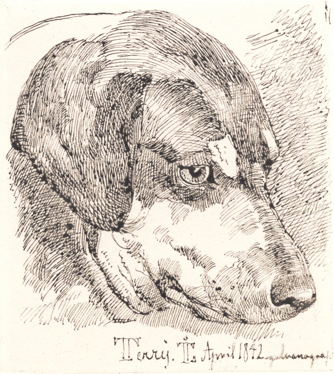 Danese: Testa di cane, Terry da Johan Lundbye