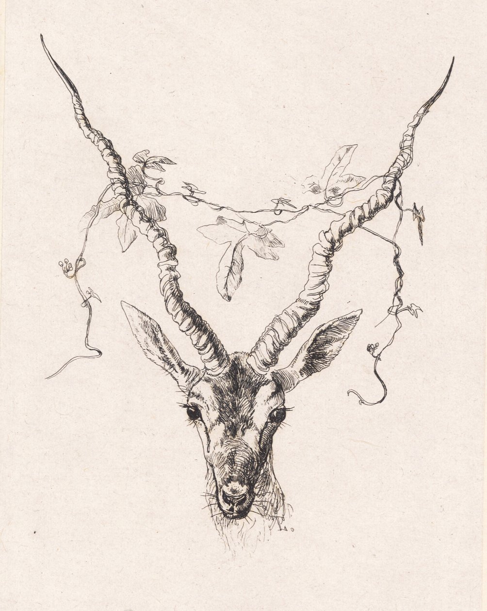 Testa di antilope da Johan Thomas Lundbye