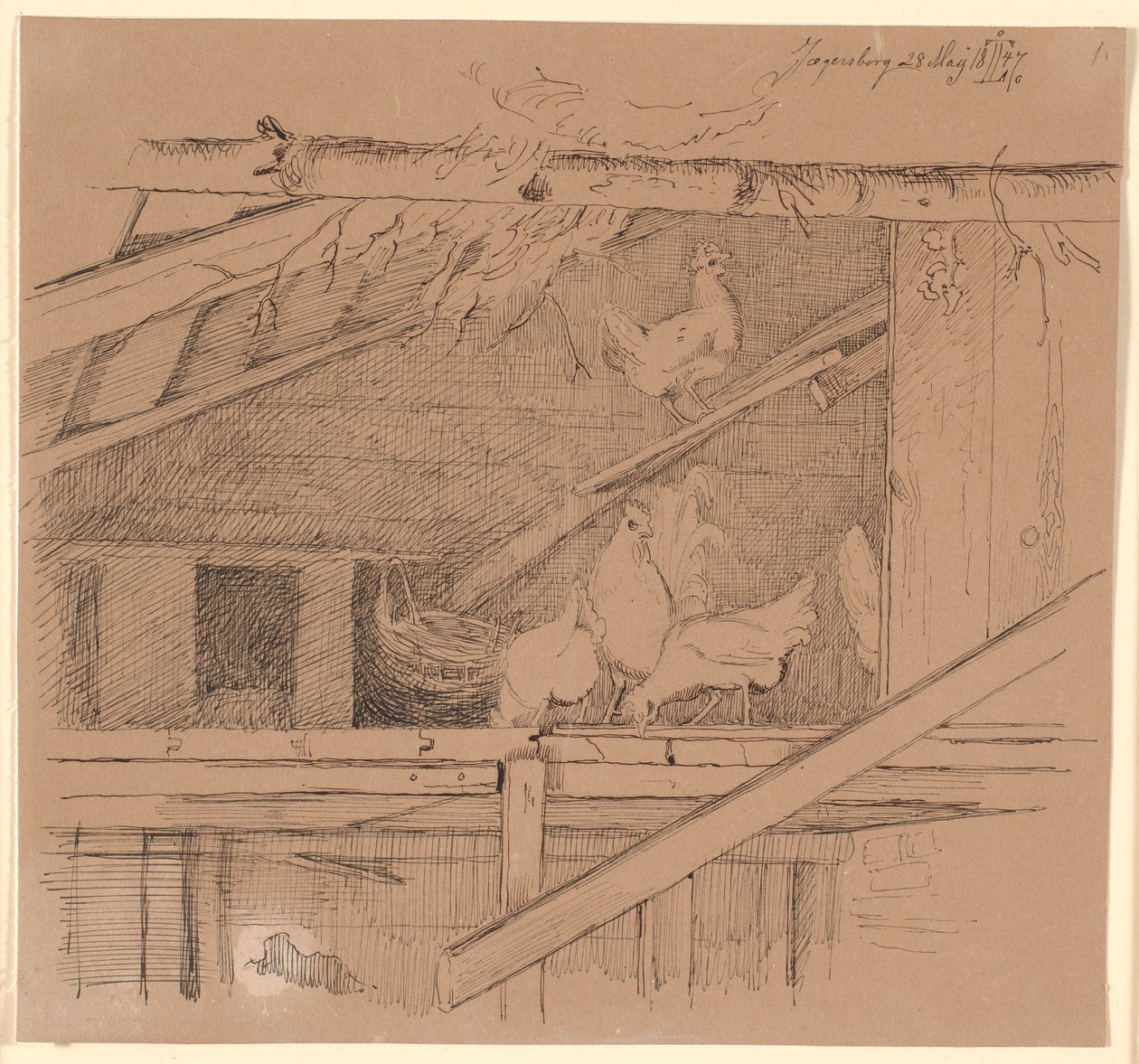 Galline in un loft da Johan Thomas Lundbye