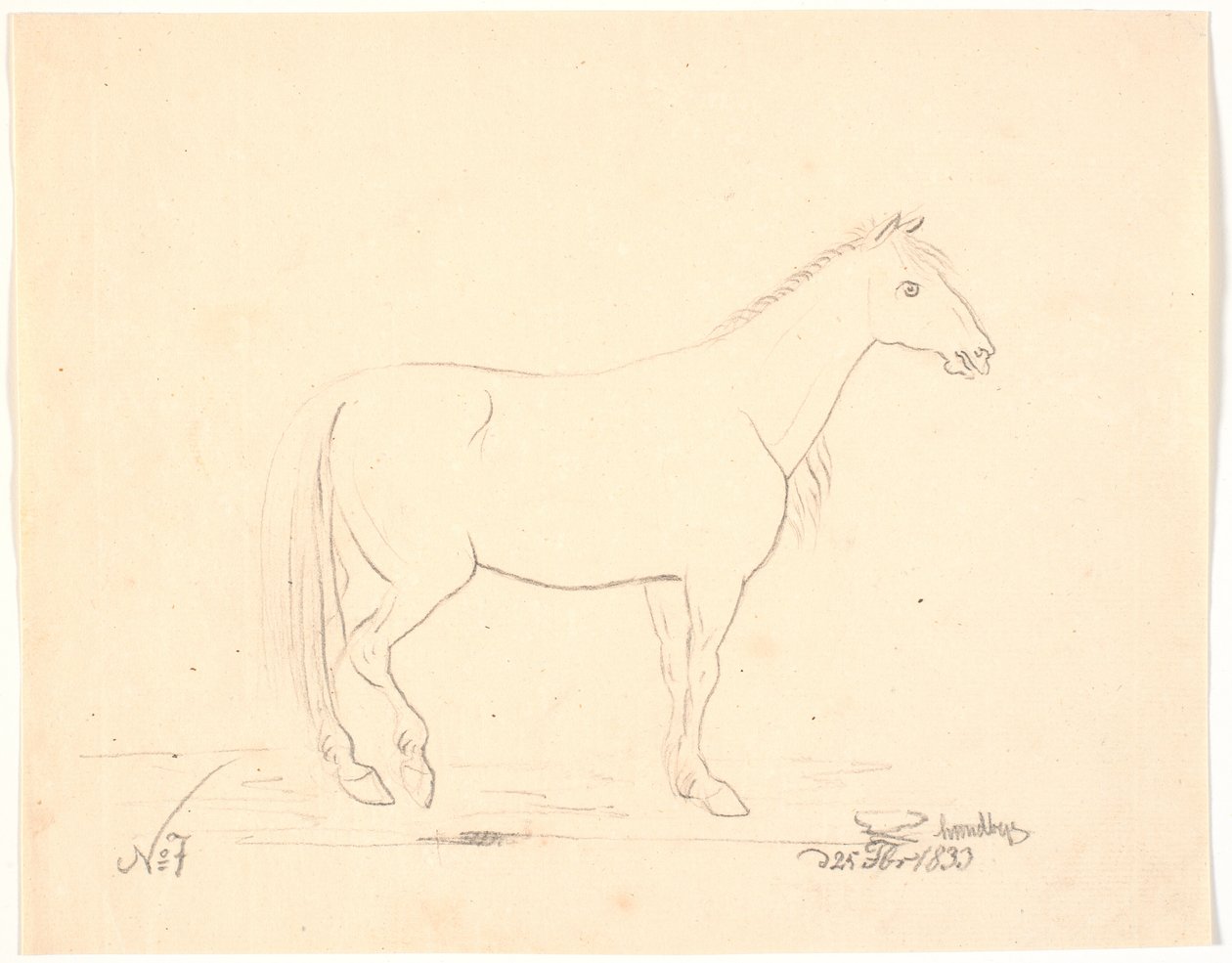 Cavallo in piedi di profilo a destra da Johan Thomas Lundbye