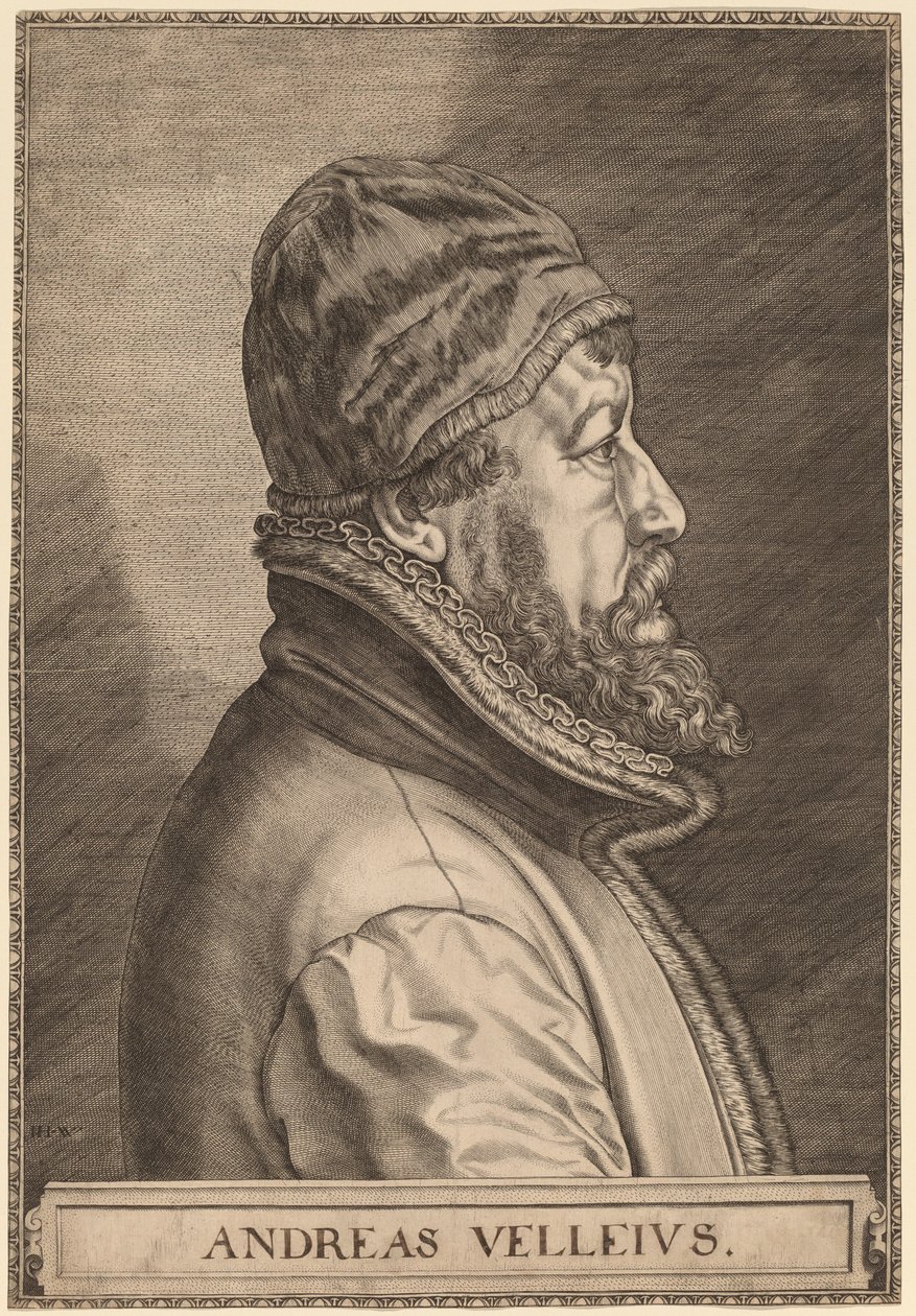Andreas Velleius (Anders Sorensen Vedel) da Johan Wierix