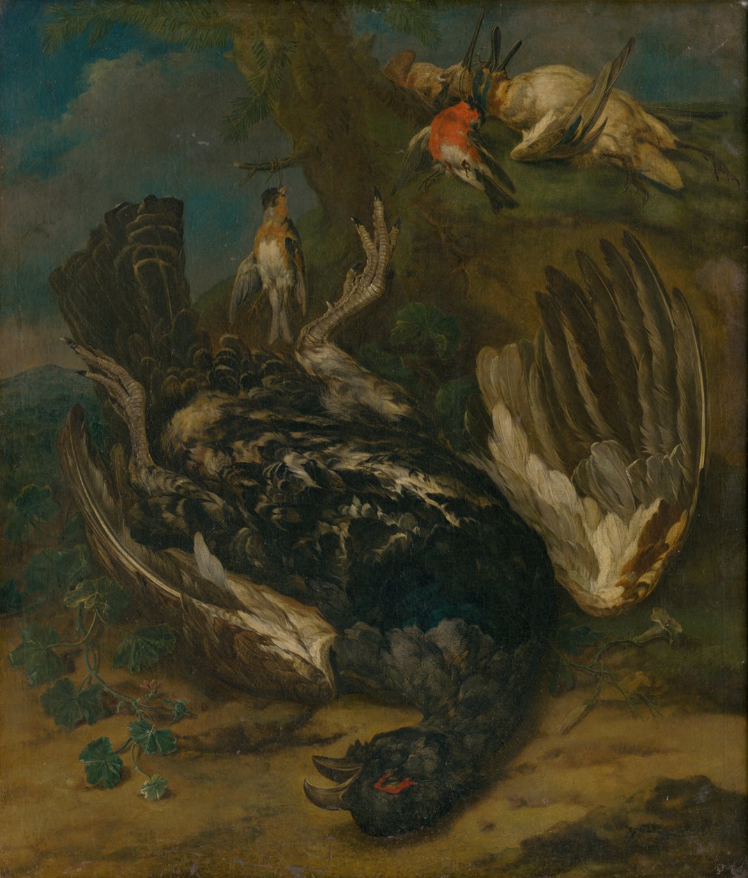 Natura morta con gallo cedrone da Johann Georg de Hamilton  