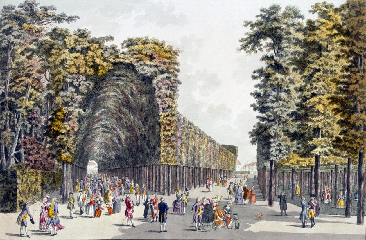 Limegrove Walk, Augarten, Vienna, 1790s da Johann Ziegler