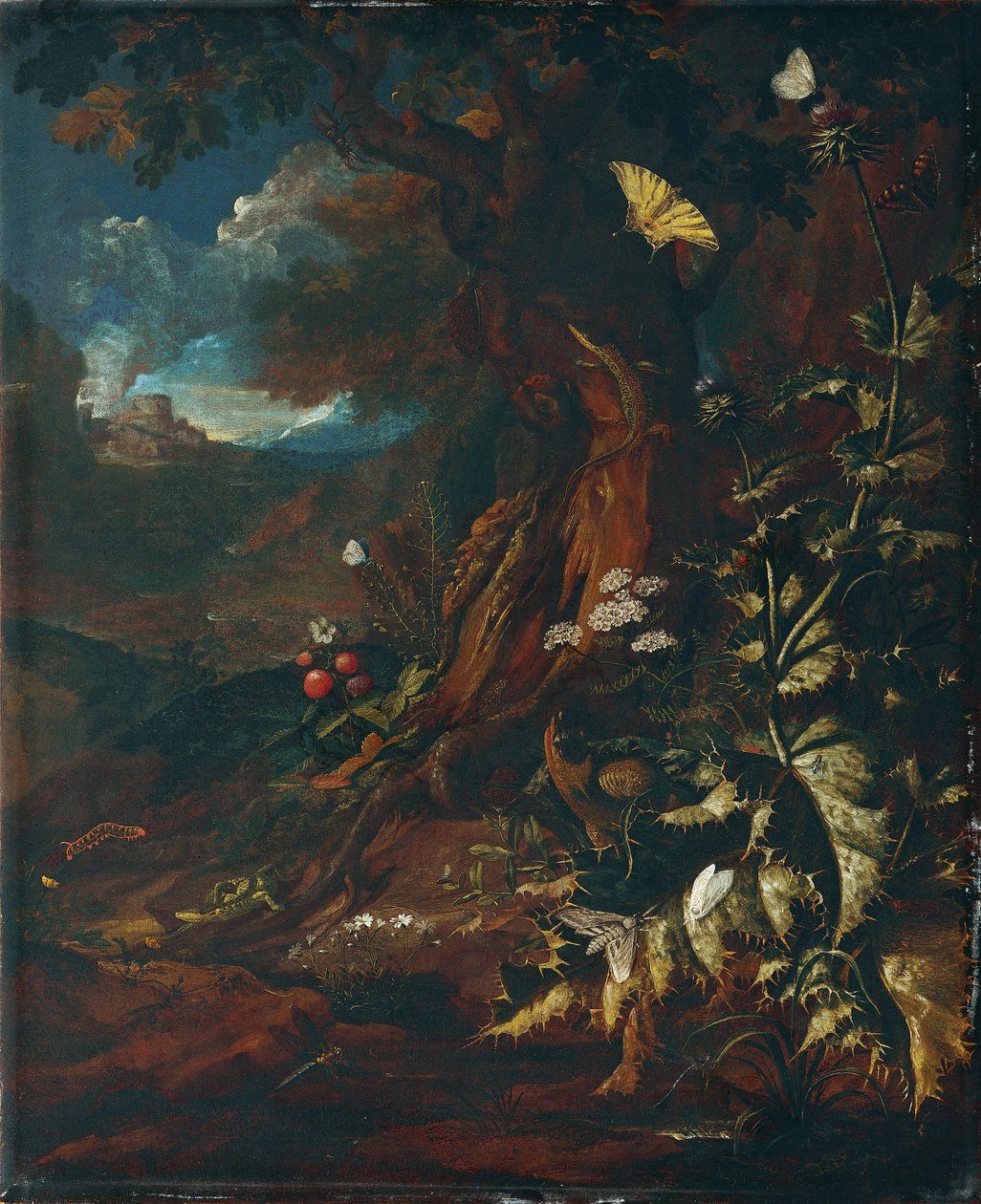 Paesaggio con rettili e insetti (I) da Johann Adalbert Angermayer