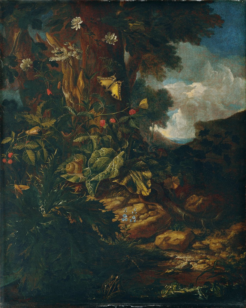 Paesaggio con rettili e insetti (II) da Johann Adalbert Angermayer