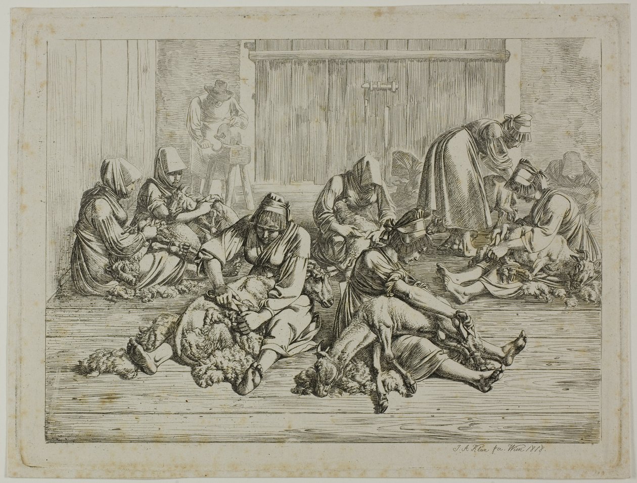 Tosatura delle pecore da Johann Adam Klein