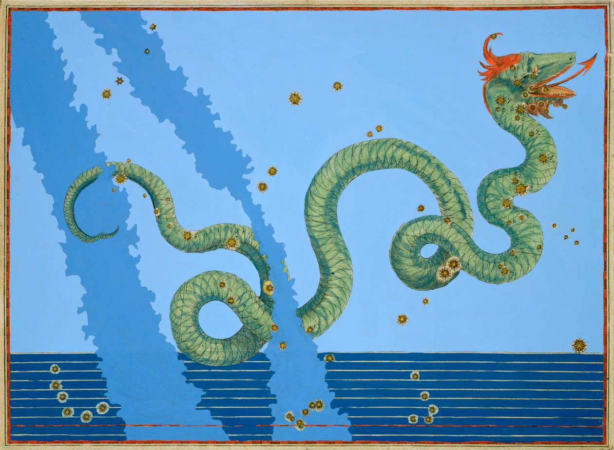 Costellazione del Serpente da Johann Bayer