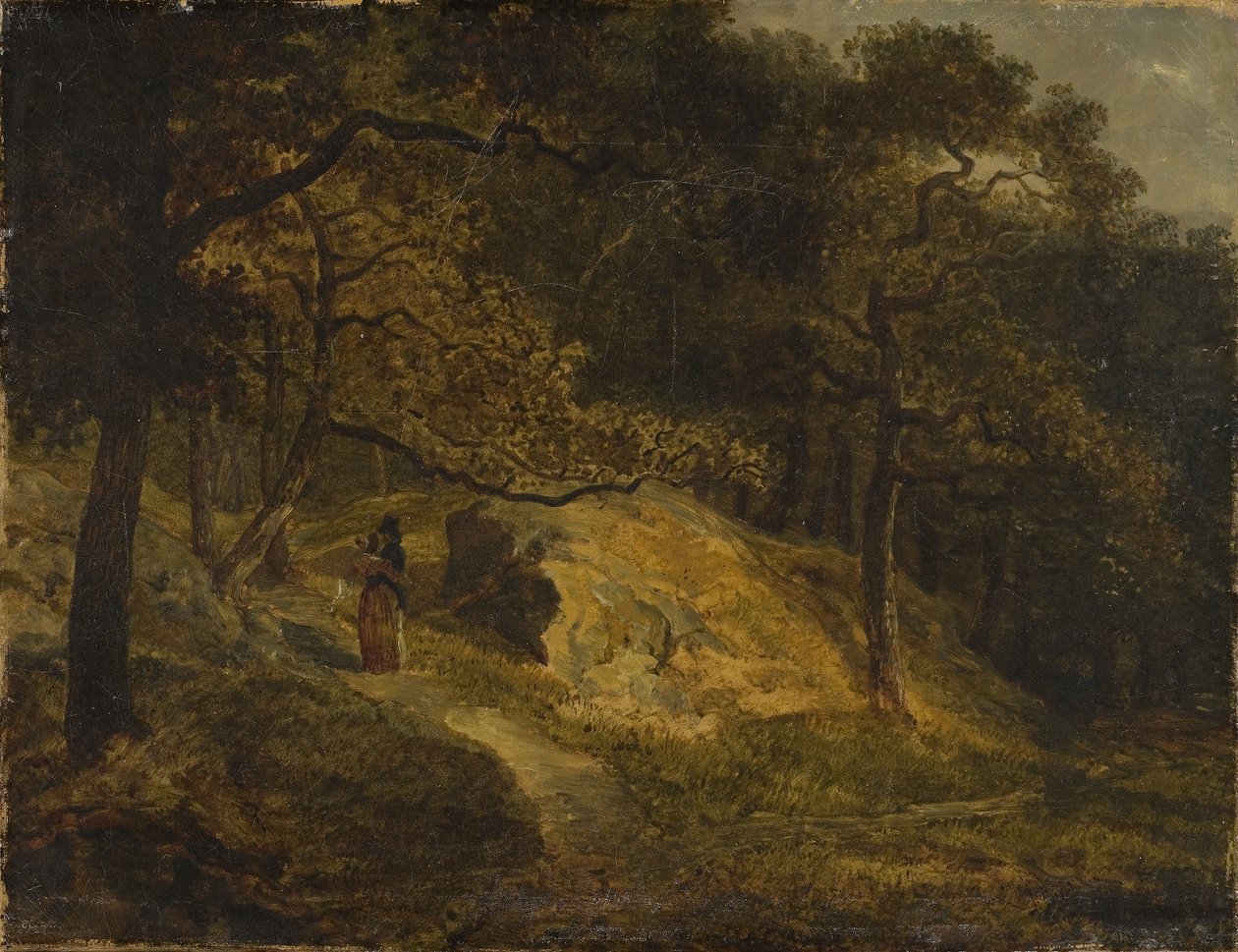 A Djurgården a Stoccolma da Johann Christian Ezdorf